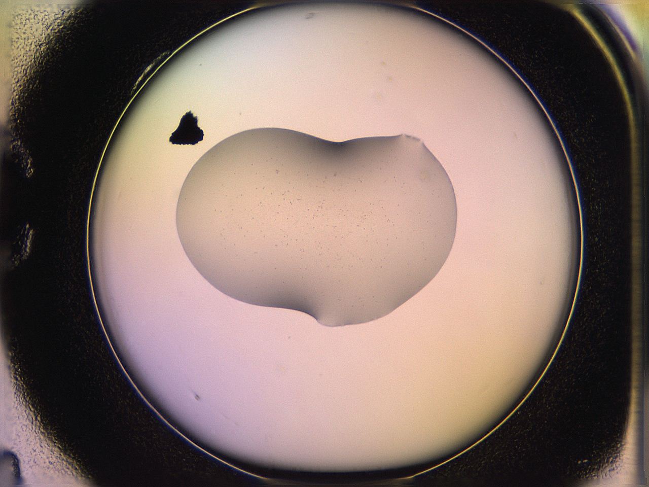 05of_C4_ImagerDefaults_3.jpg