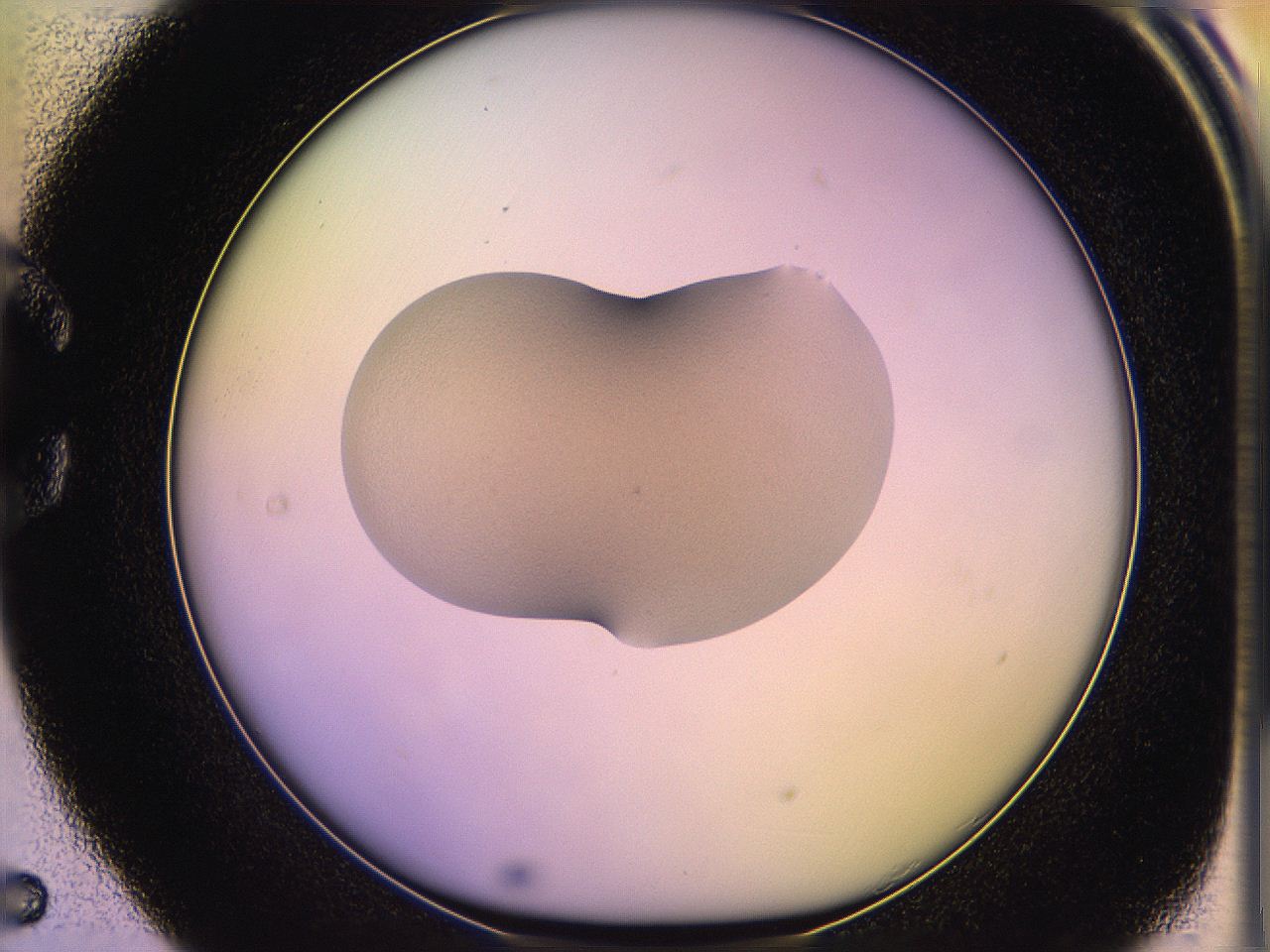 05of_C5_ImagerDefaults_3.jpg