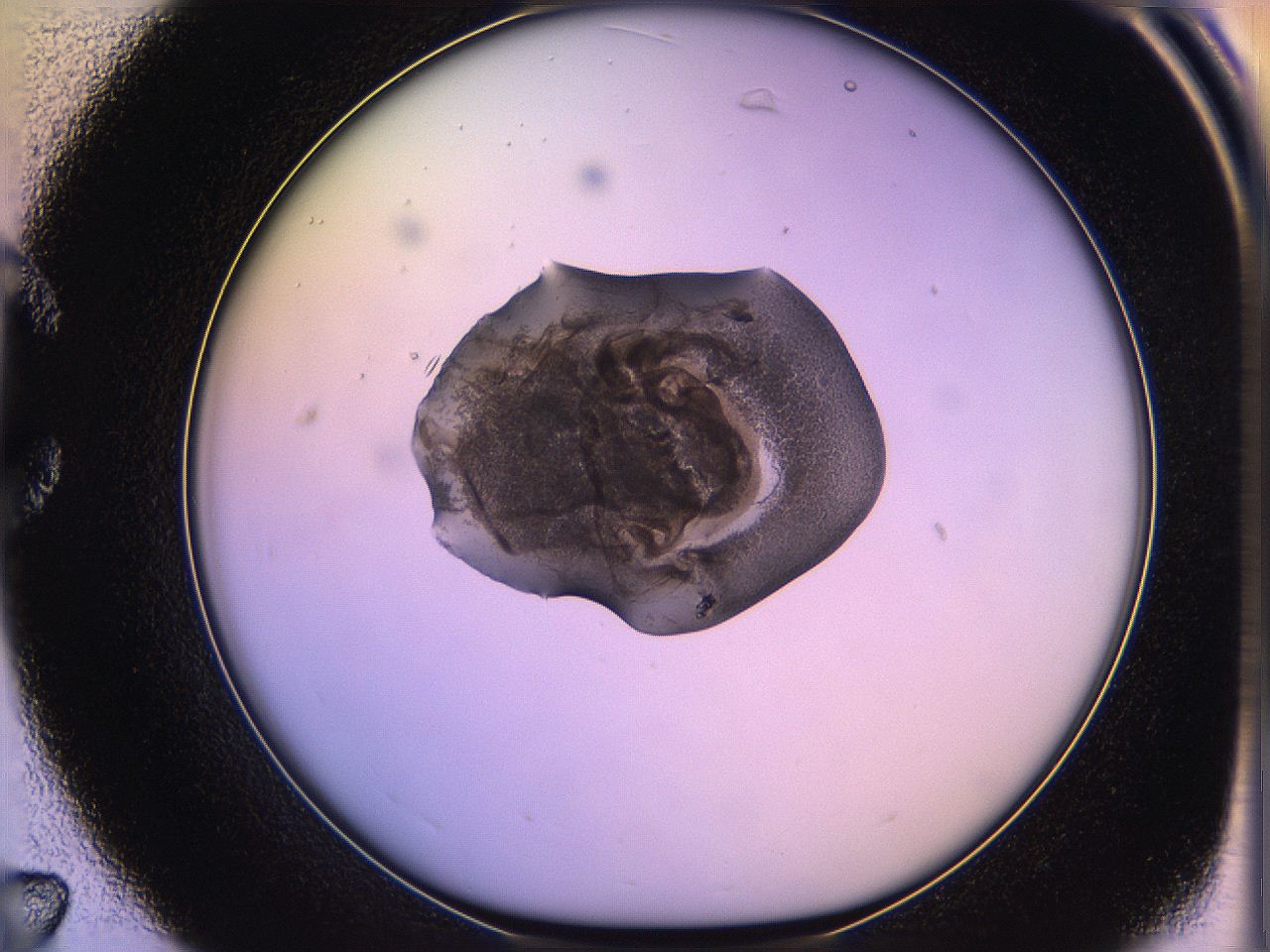 05of_C7_ImagerDefaults_3.jpg