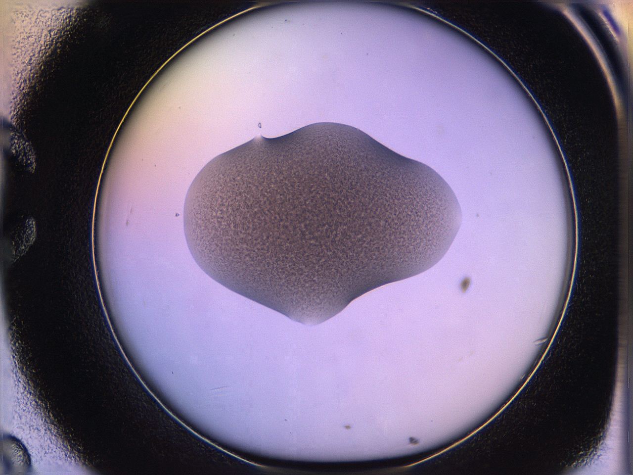 05of_C8_ImagerDefaults_3.jpg