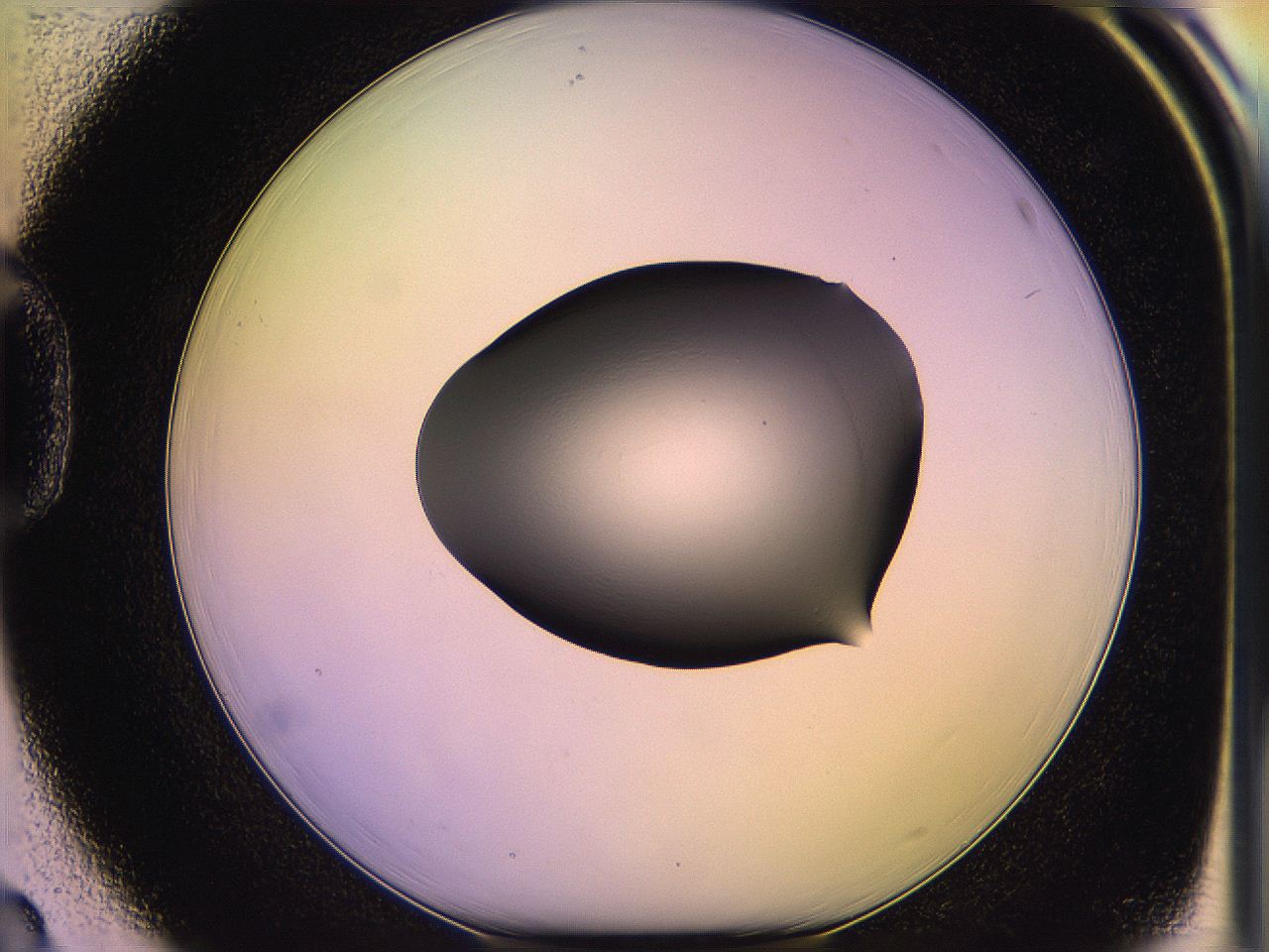 05of_D3_ImagerDefaults_1.jpg