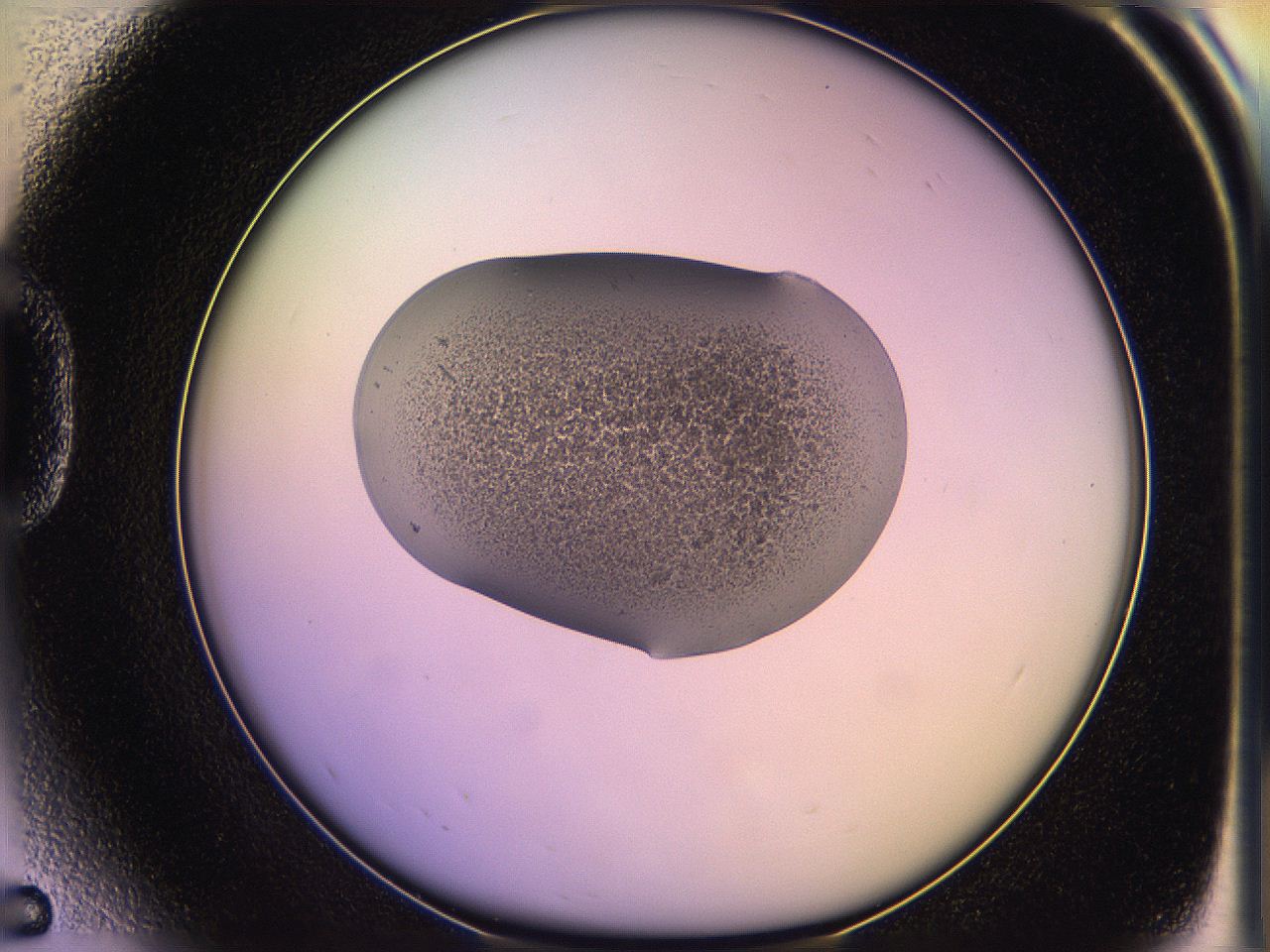 05of_D5_ImagerDefaults_3.jpg