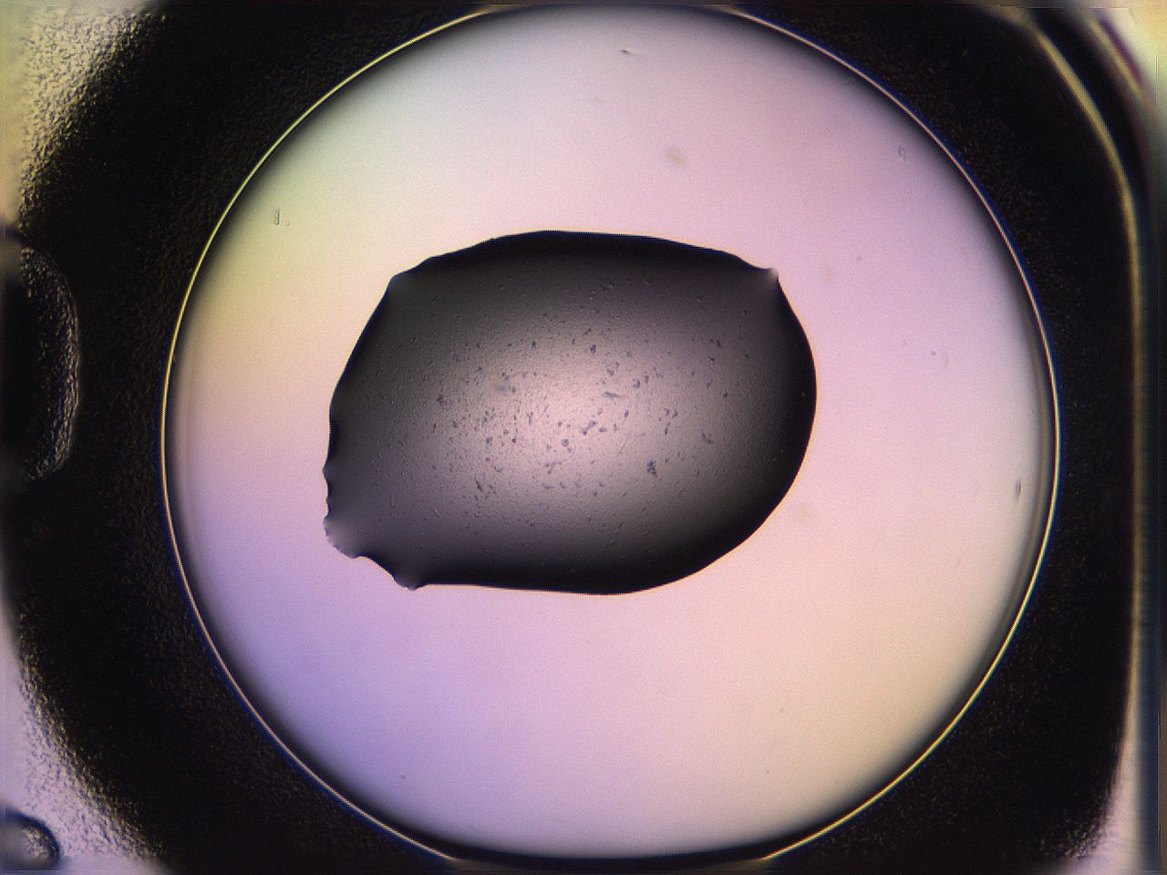 05of_D6_ImagerDefaults_3.jpg