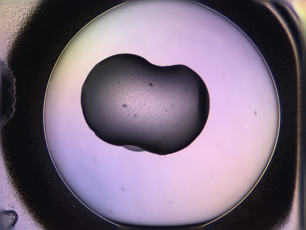 05of_D7_ImagerDefaults_3.jpg