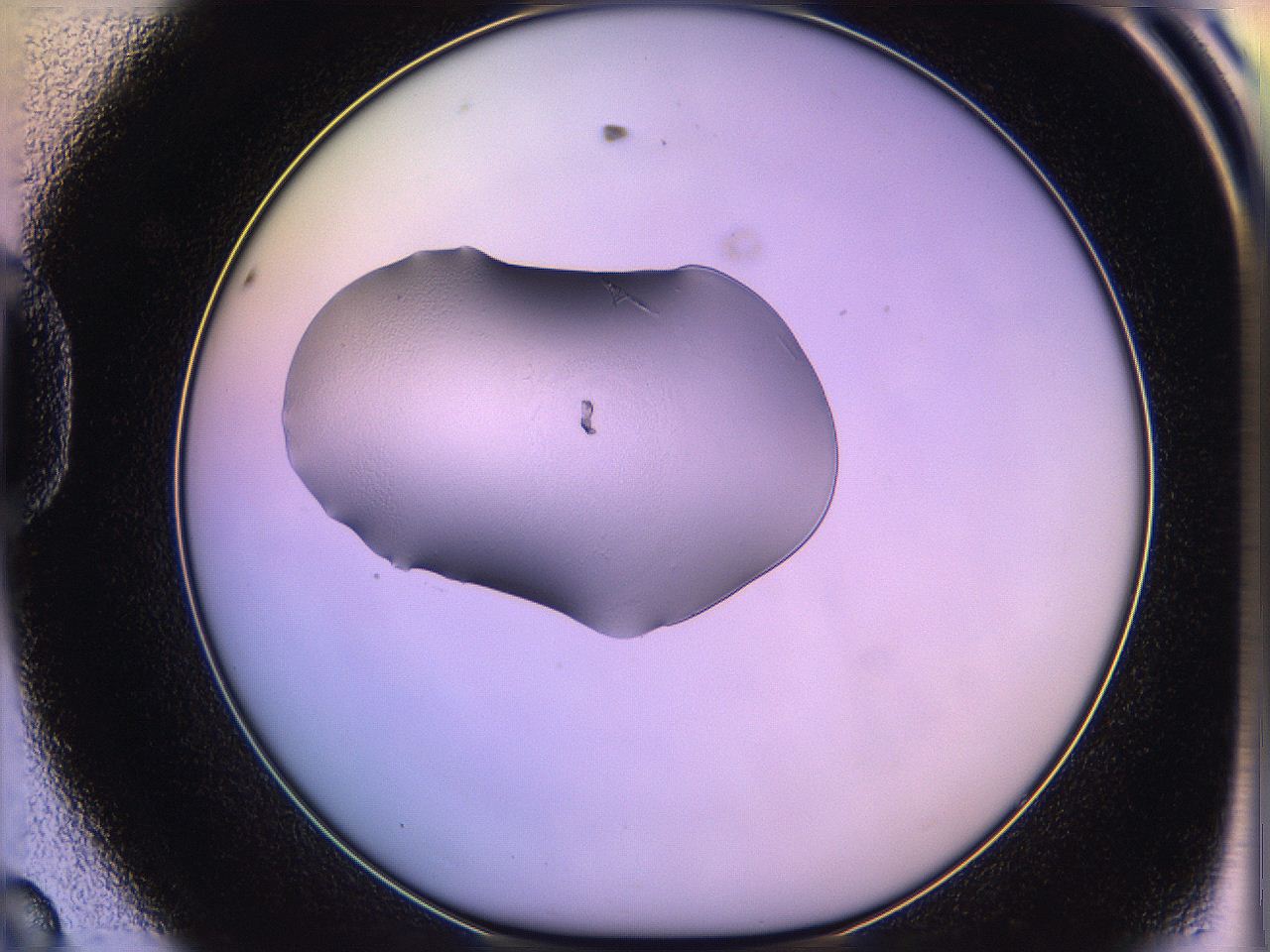 05of_D8_ImagerDefaults_1.jpg