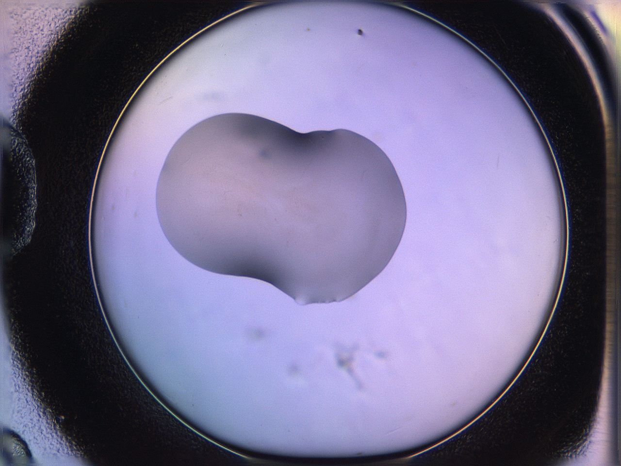 05of_D9_ImagerDefaults_1.jpg