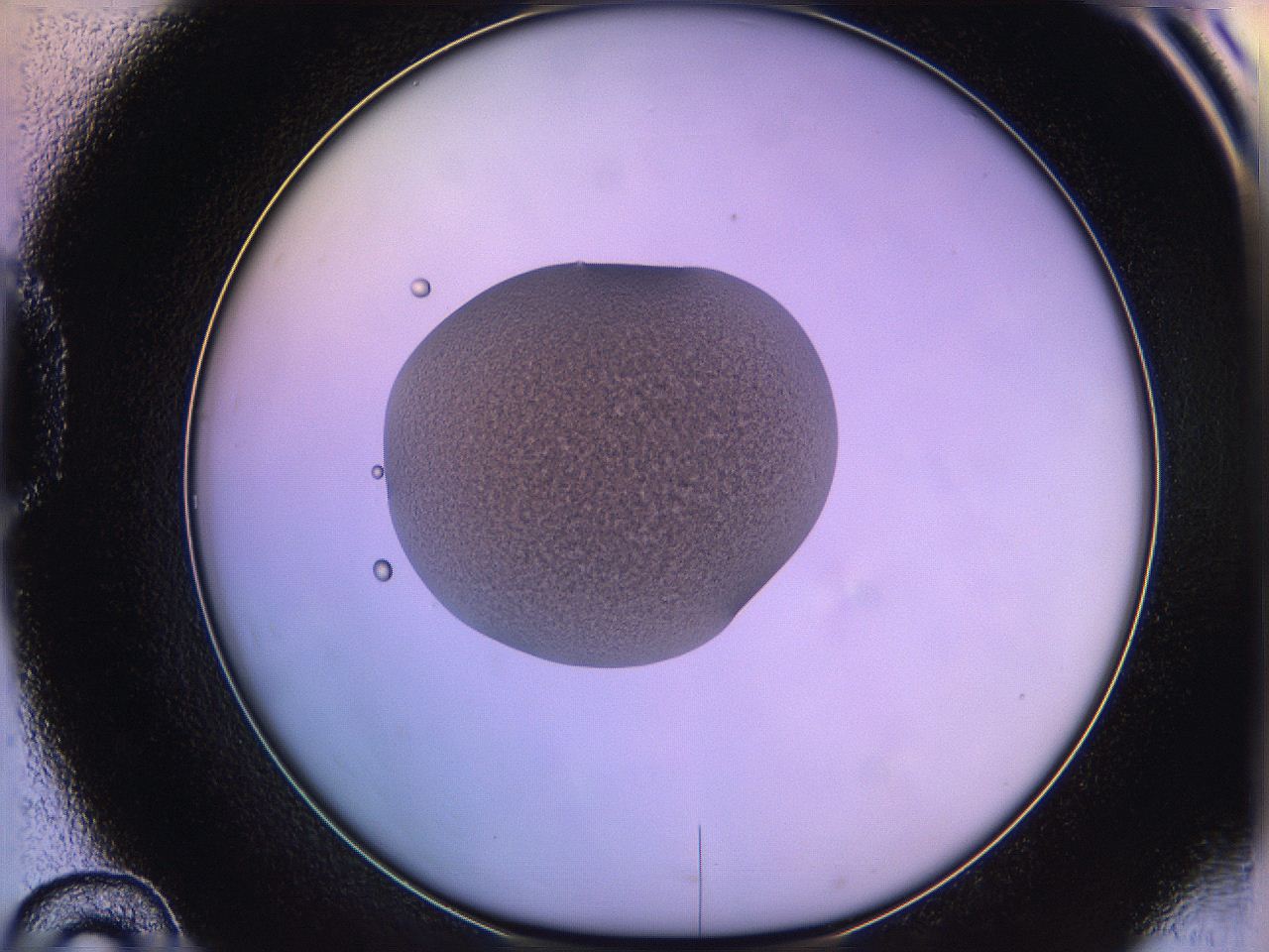 05of_D10_ImagerDefaults_3.jpg