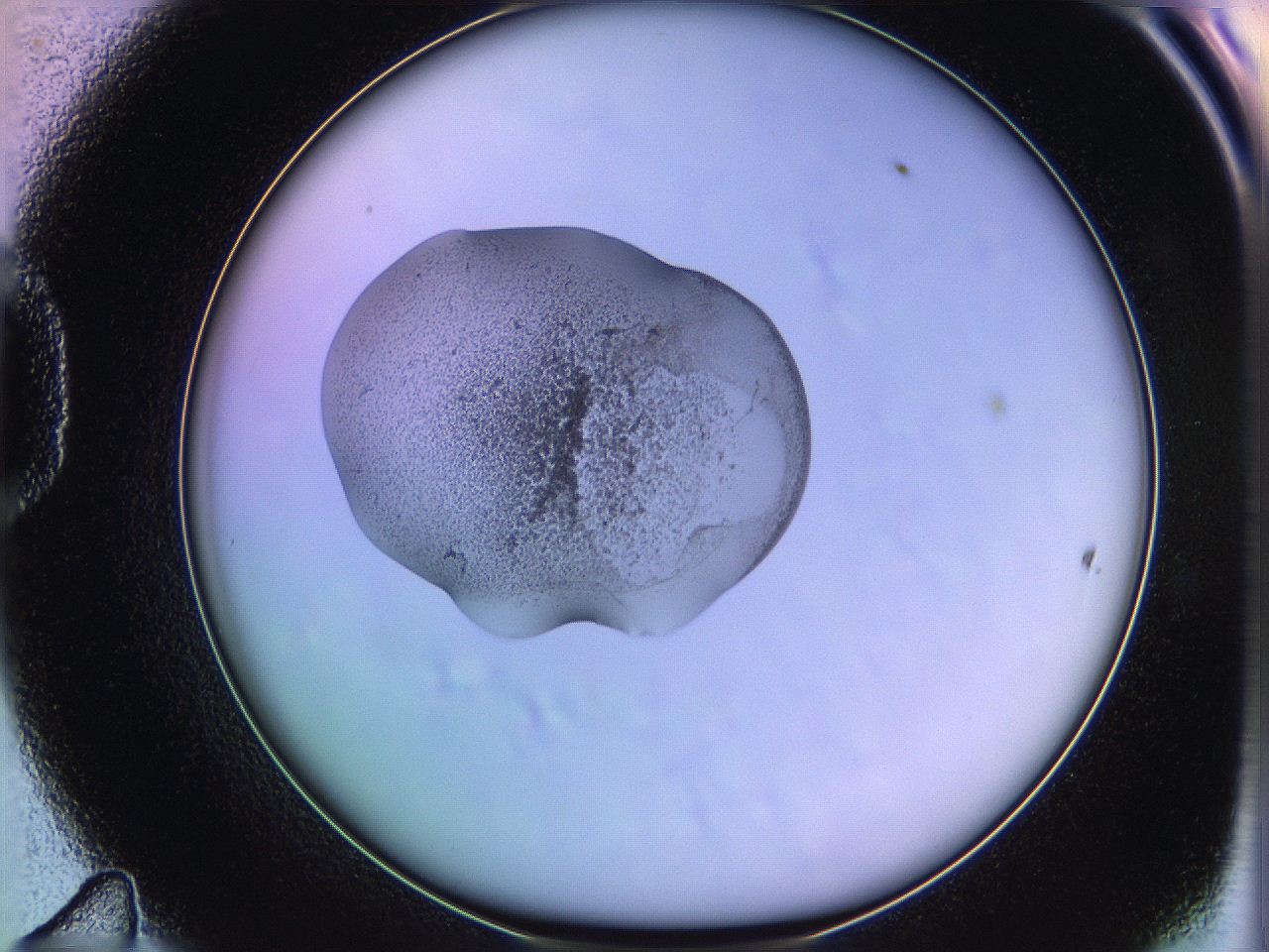 05of_D11_ImagerDefaults_3.jpg