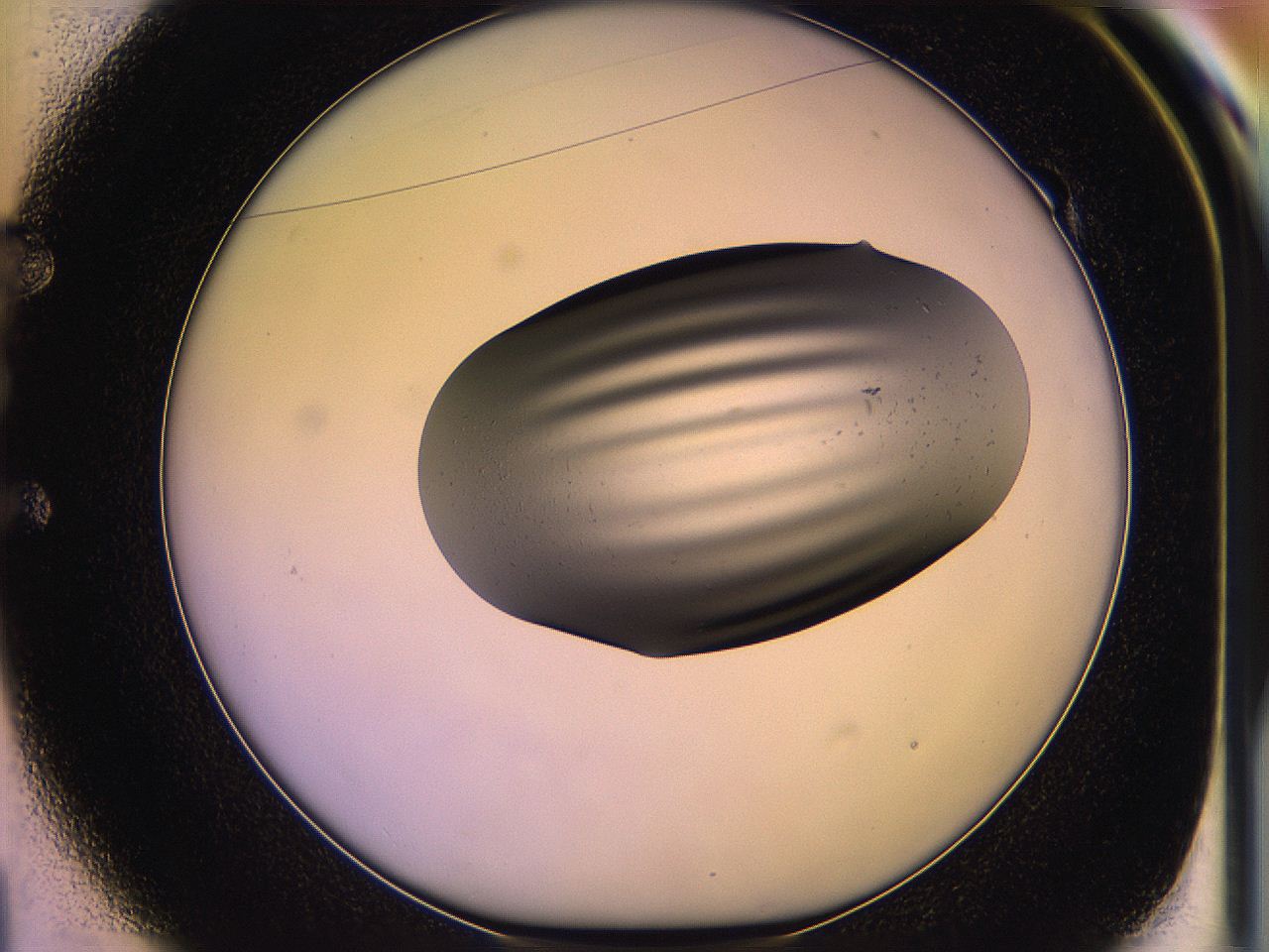 05of_E1_ImagerDefaults_3.jpg