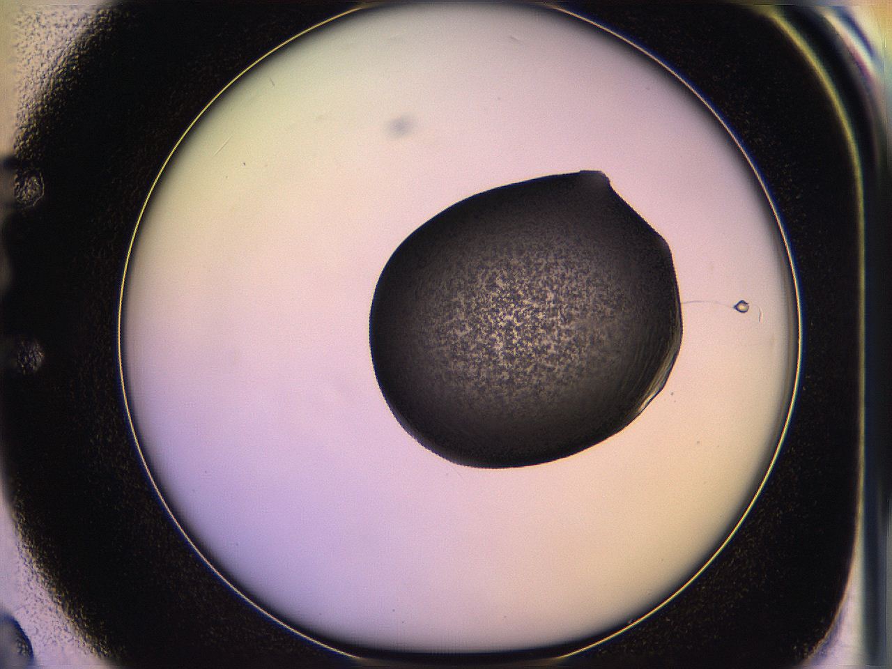 05of_E2_ImagerDefaults_3.jpg