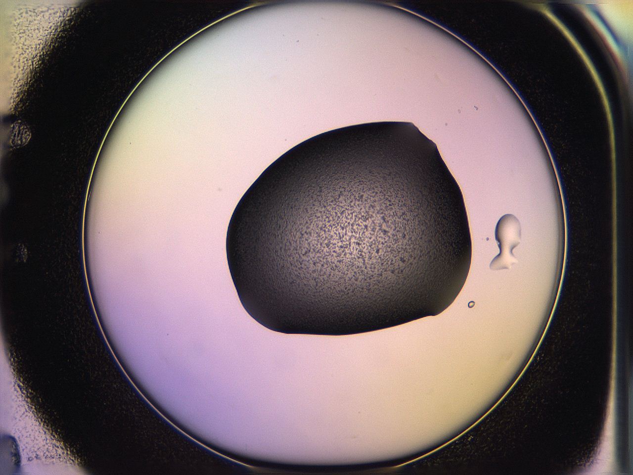 05of_E4_ImagerDefaults_3.jpg