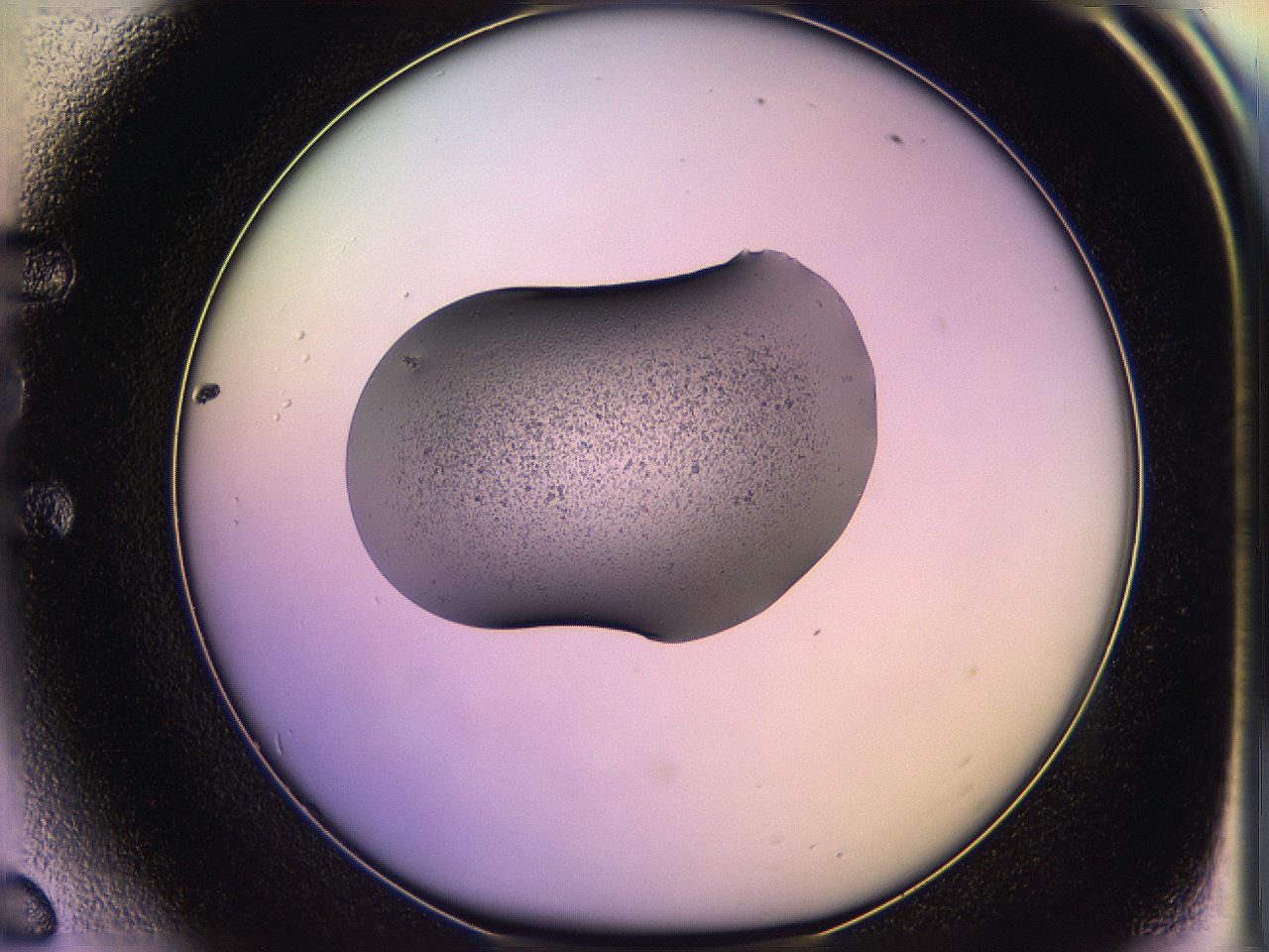 05of_E6_ImagerDefaults_3.jpg