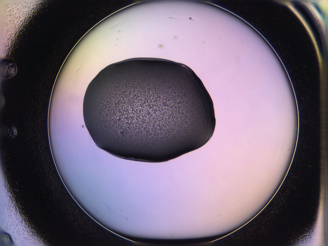 05of_E8_ImagerDefaults_3.jpg