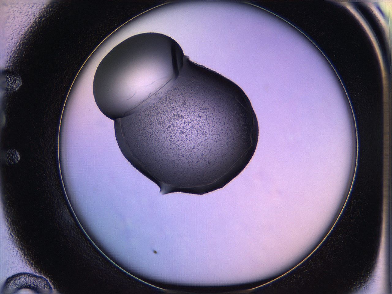 05of_E10_ImagerDefaults_3.jpg
