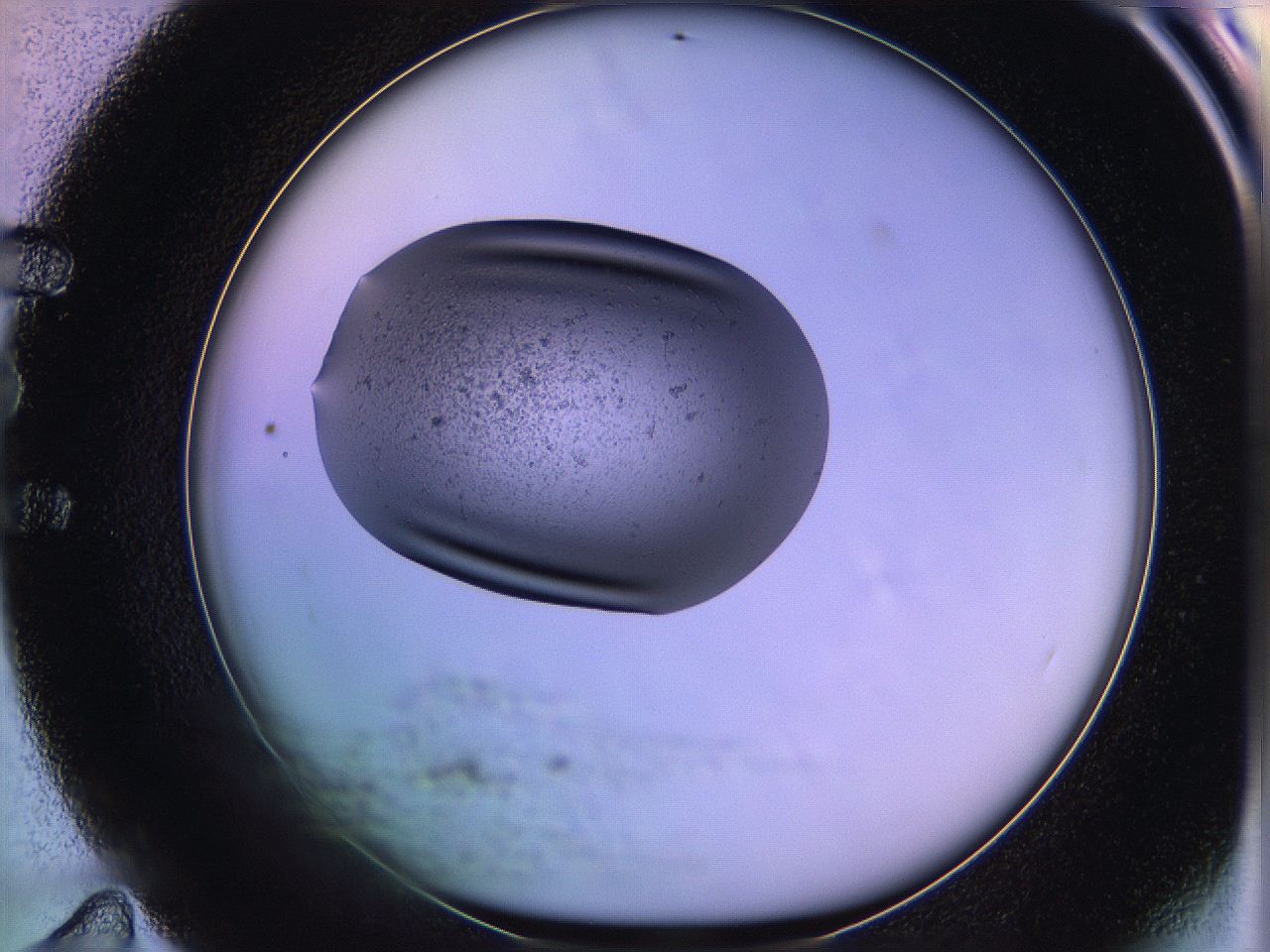 05of_E11_ImagerDefaults_3.jpg