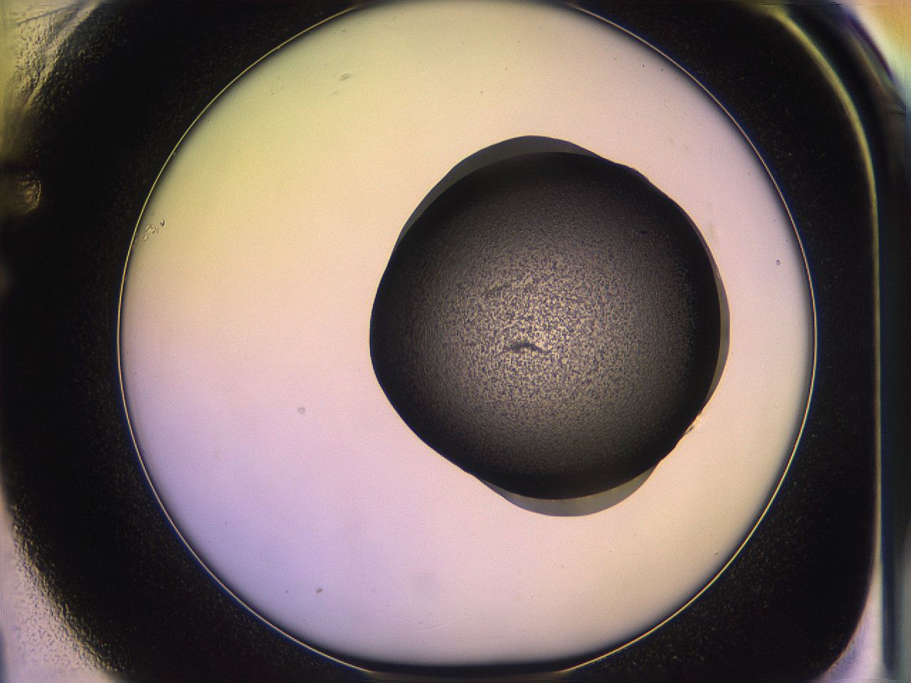 05of_F1_ImagerDefaults_3.jpg