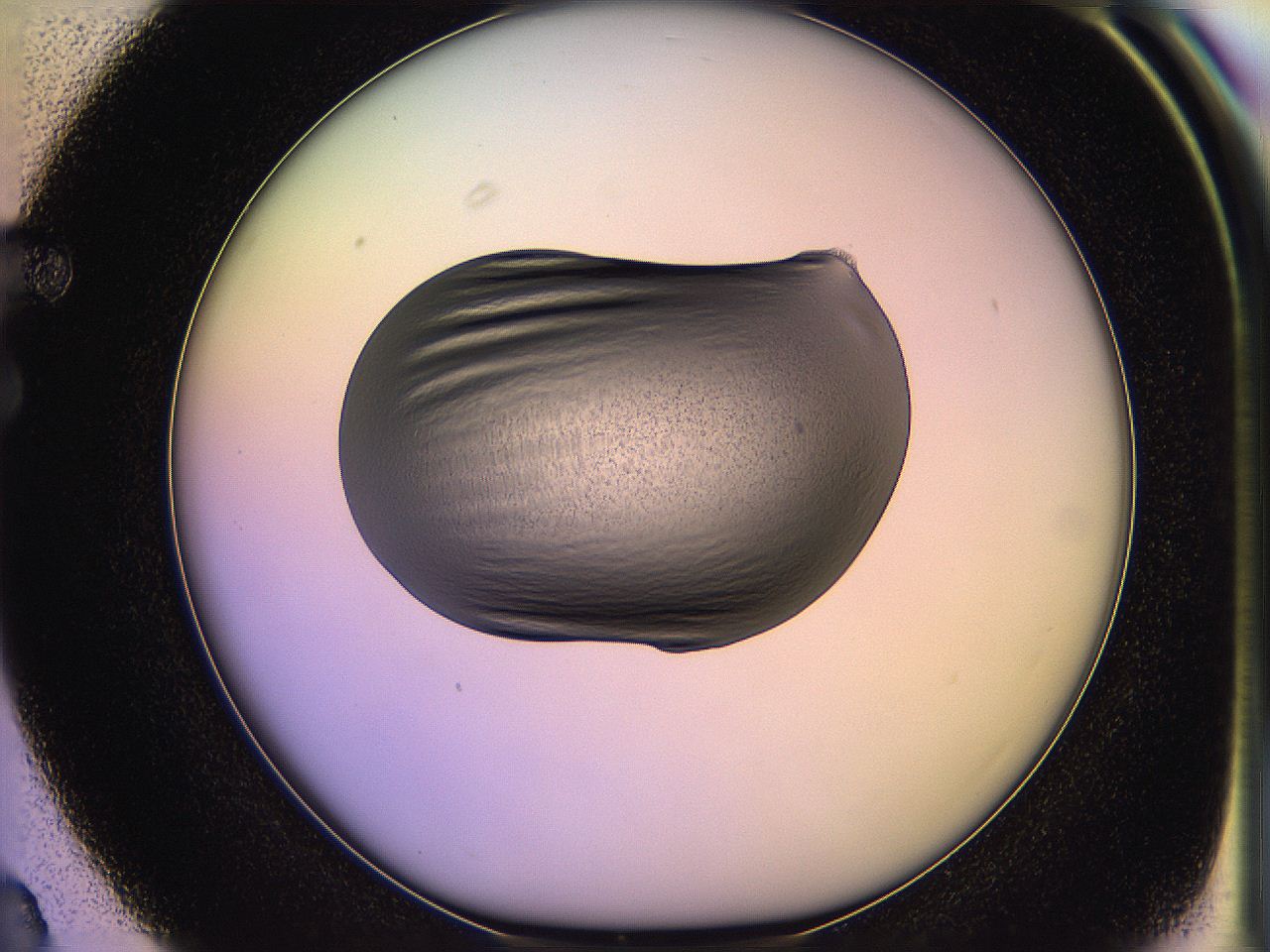 05of_F3_ImagerDefaults_3.jpg