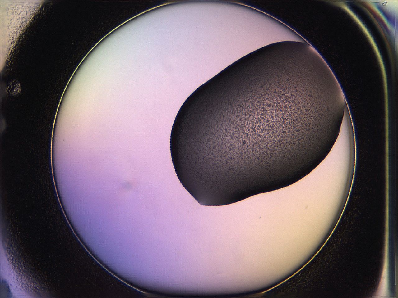 05of_F4_ImagerDefaults_3.jpg