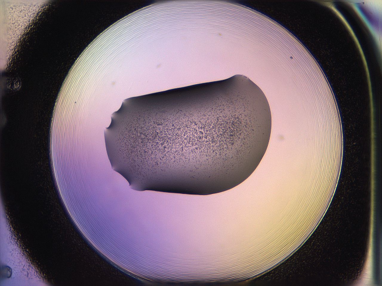 05of_F5_ImagerDefaults_3.jpg