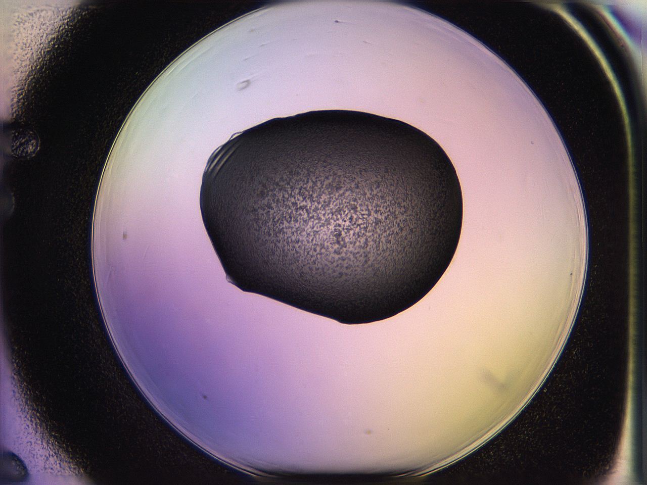05of_F6_ImagerDefaults_3.jpg