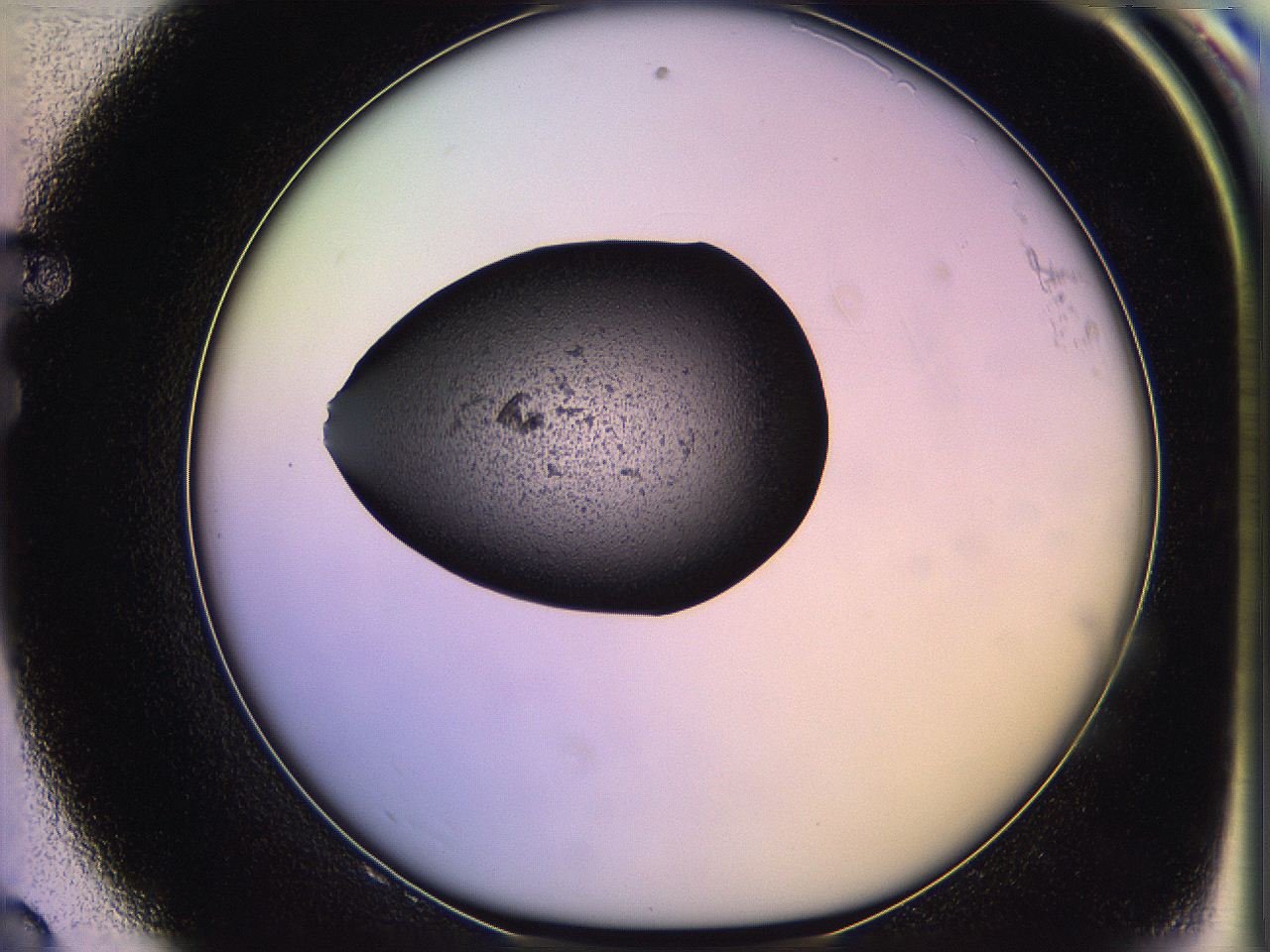 05of_F8_ImagerDefaults_3.jpg