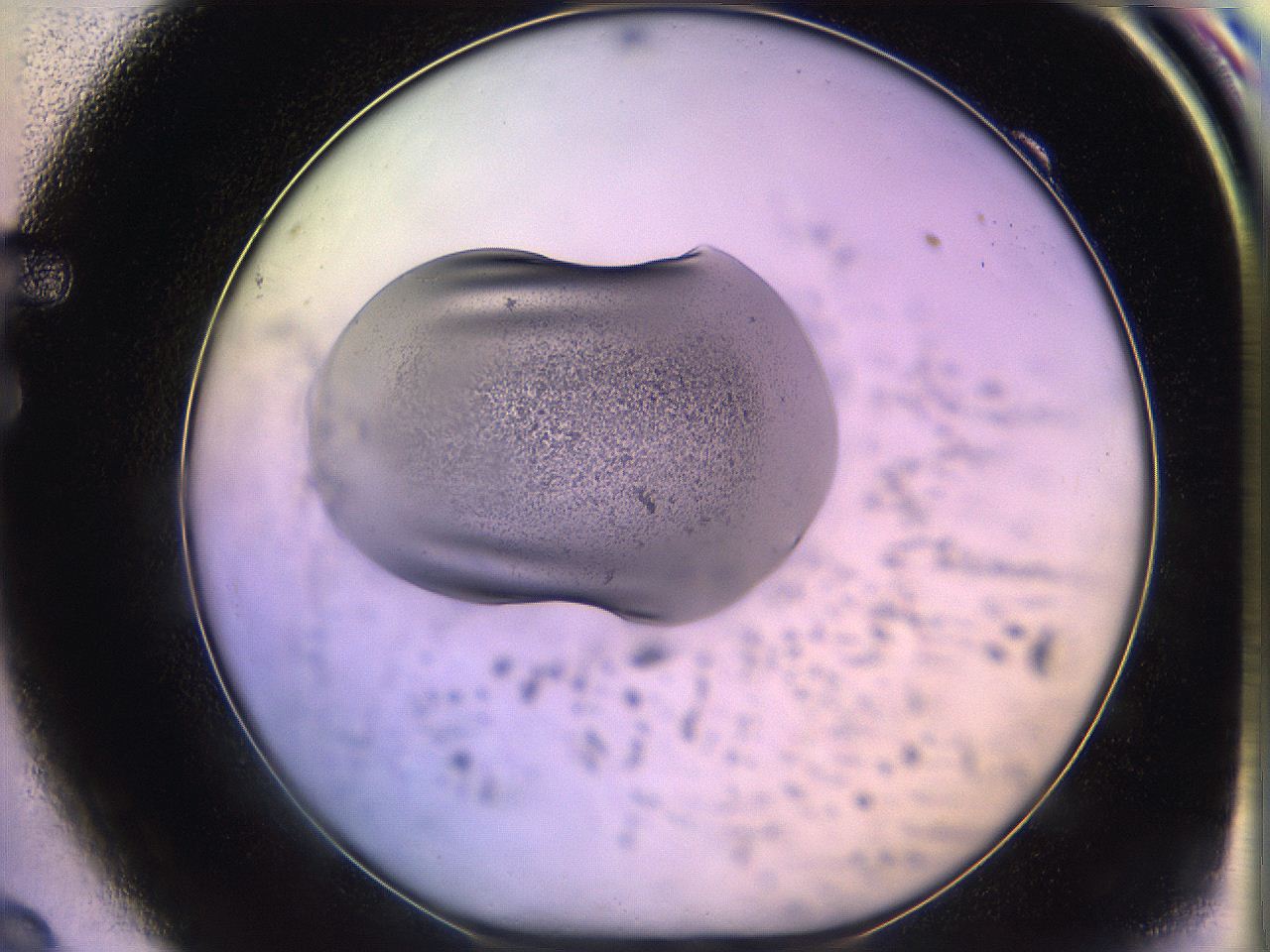 05of_F9_ImagerDefaults_3.jpg