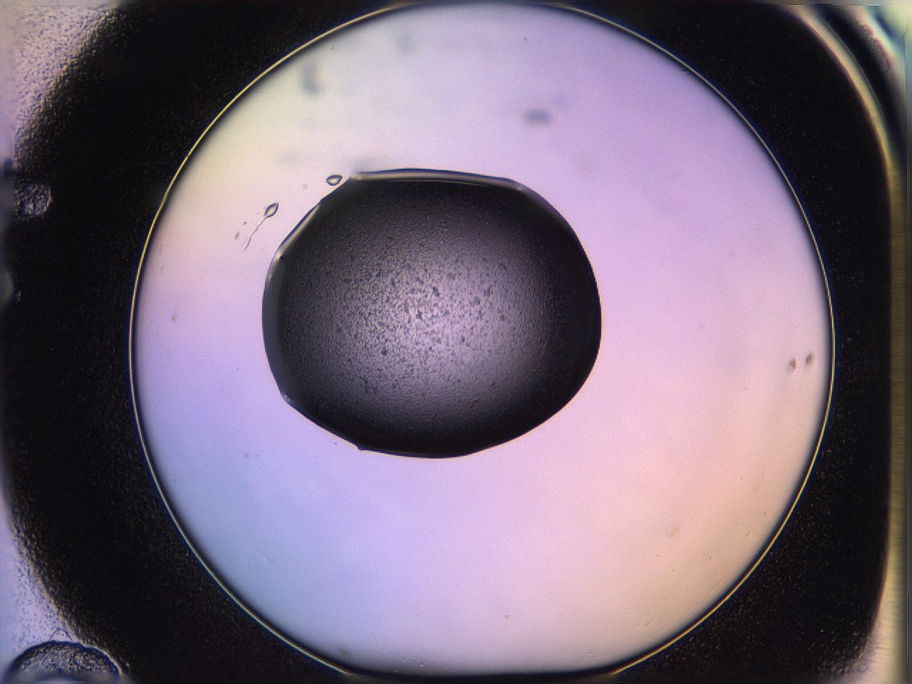 05of_F10_ImagerDefaults_3.jpg