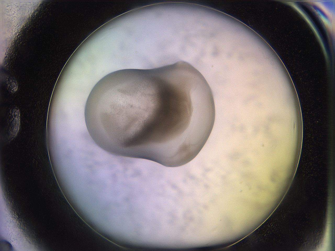 05of_G8_ImagerDefaults_3.jpg