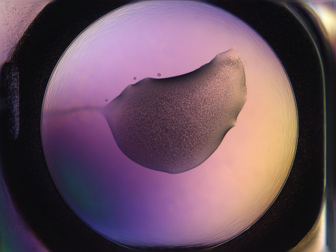 05of_H1_ImagerDefaults_3.jpg