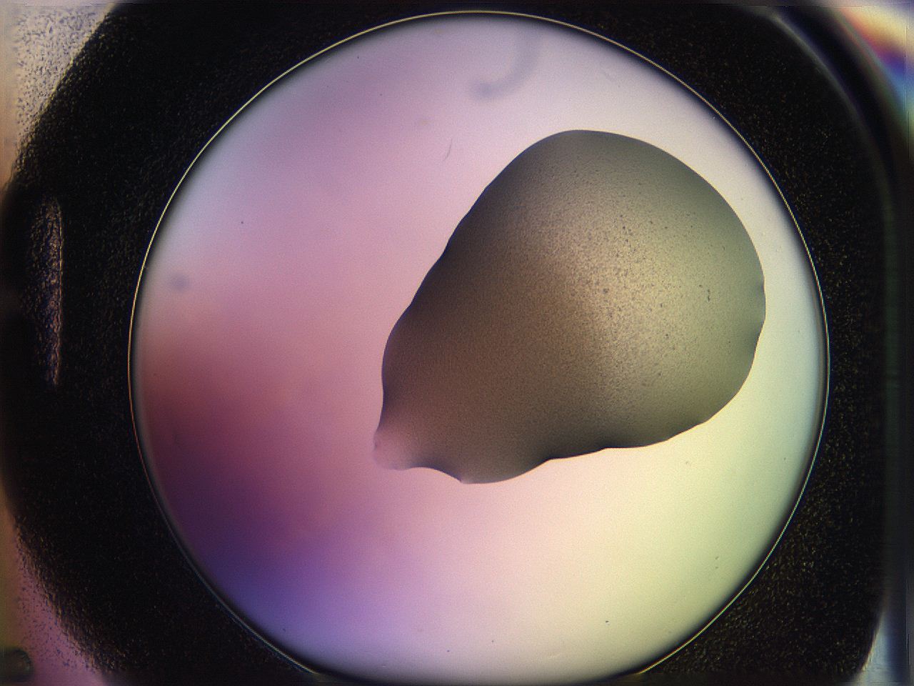 05of_H5_ImagerDefaults_3.jpg