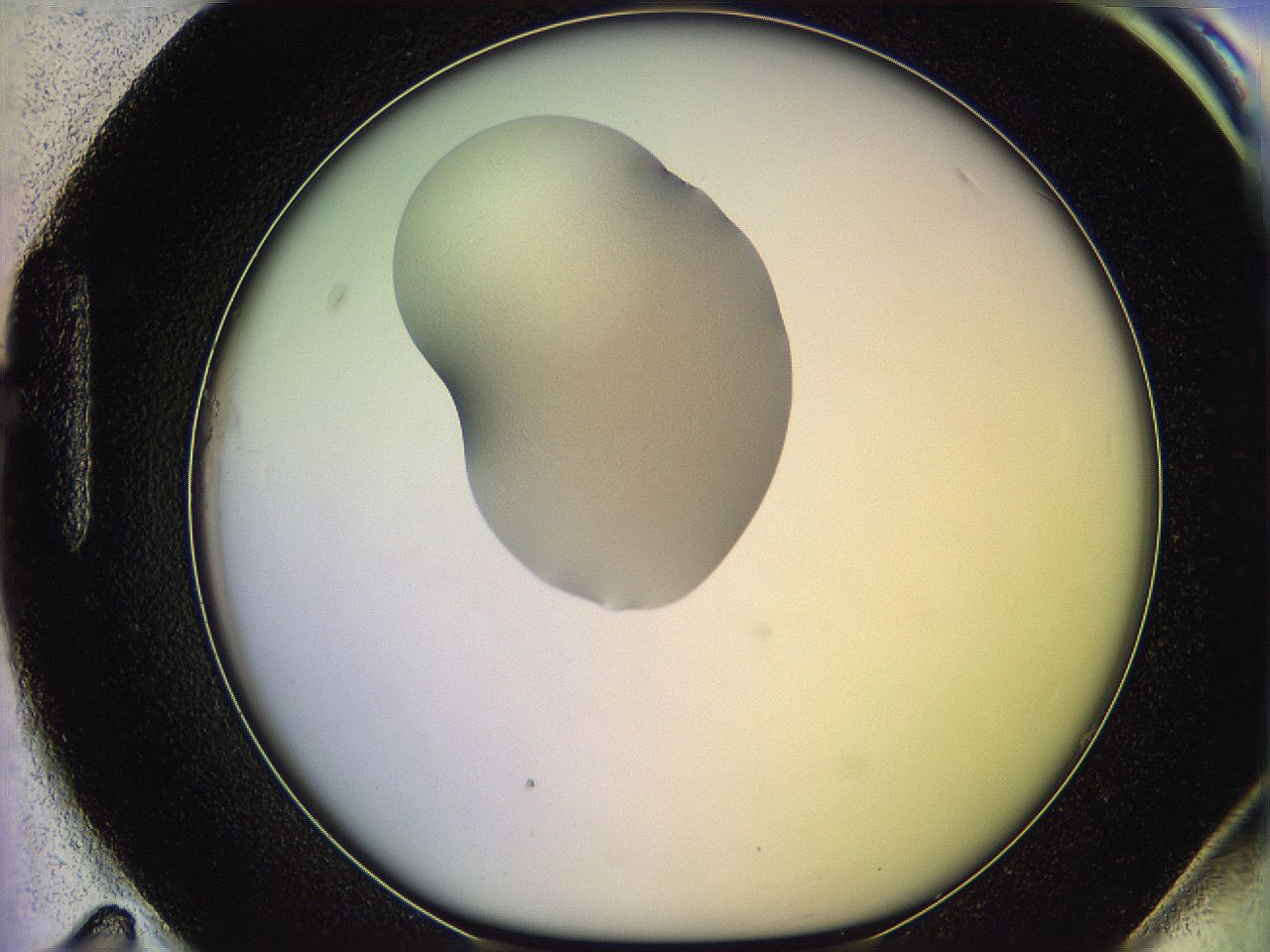 05of_H11_ImagerDefaults_1.jpg