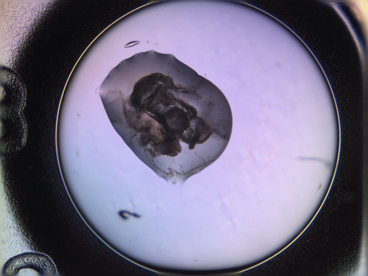 05og_B12_ImagerDefaults_3.jpg