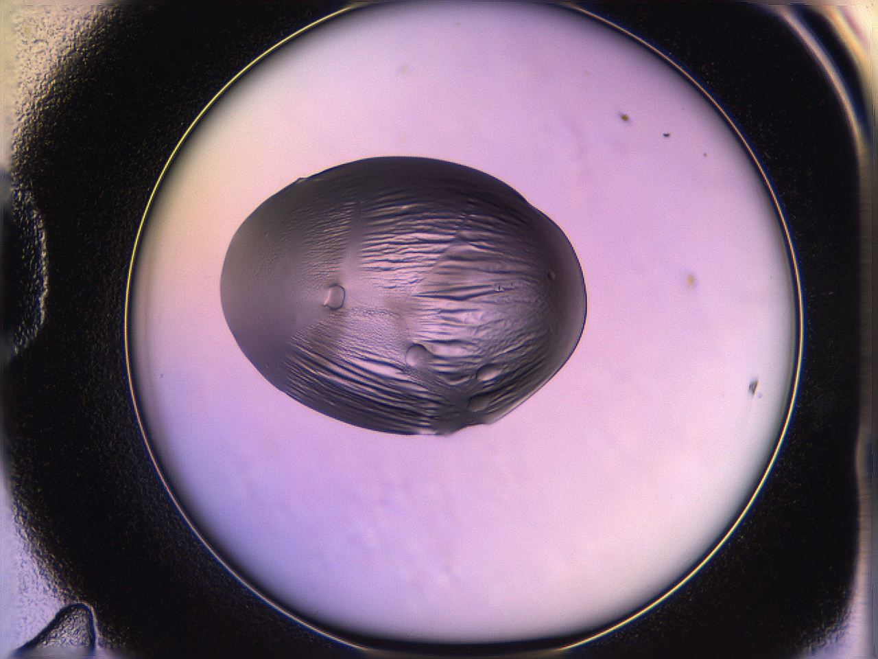 05og_D11_ImagerDefaults_2.jpg