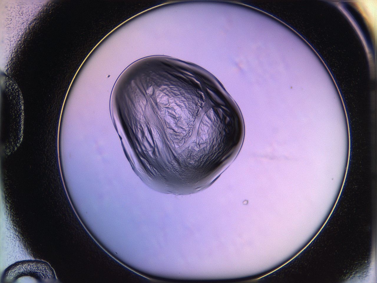05og_D12_ImagerDefaults_3.jpg
