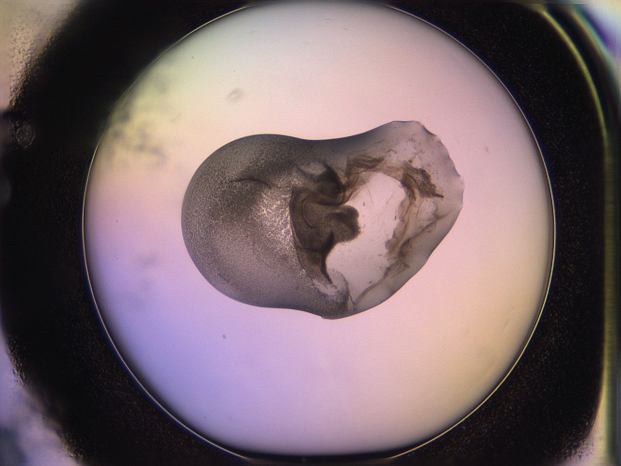 05og_F3_ImagerDefaults_3.jpg