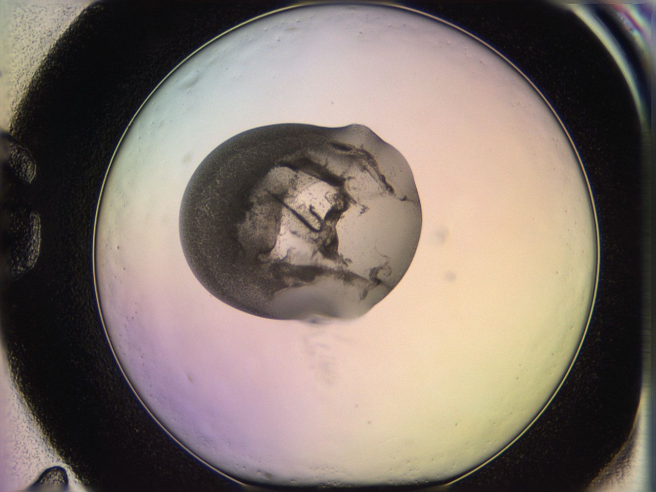 05og_G11_ImagerDefaults_3.jpg