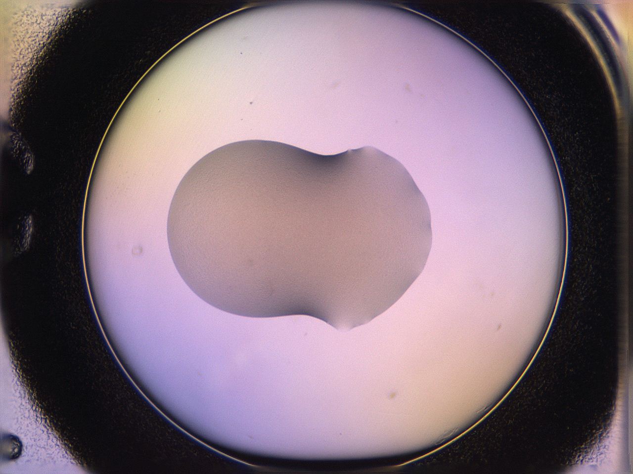 05oh_C5_ImagerDefaults_1.jpg
