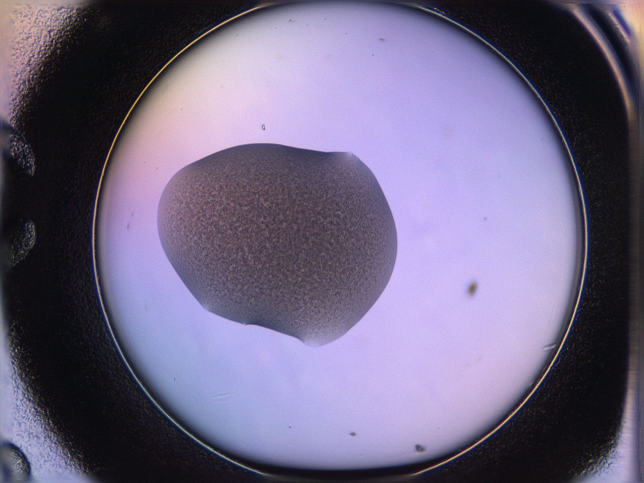 05oh_C8_ImagerDefaults_3.jpg
