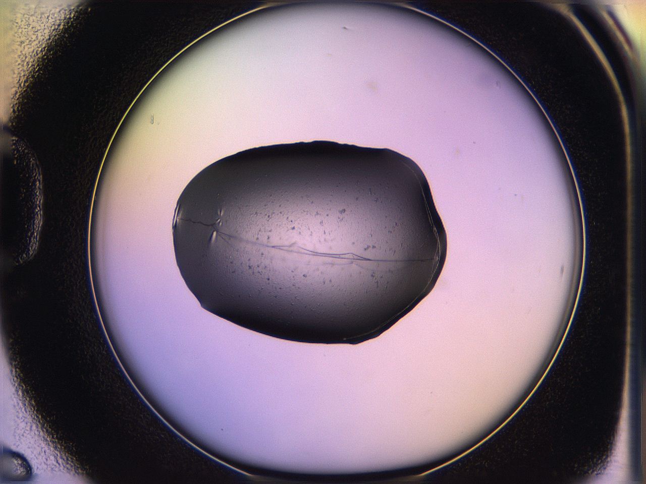 05oh_D6_ImagerDefaults_3.jpg