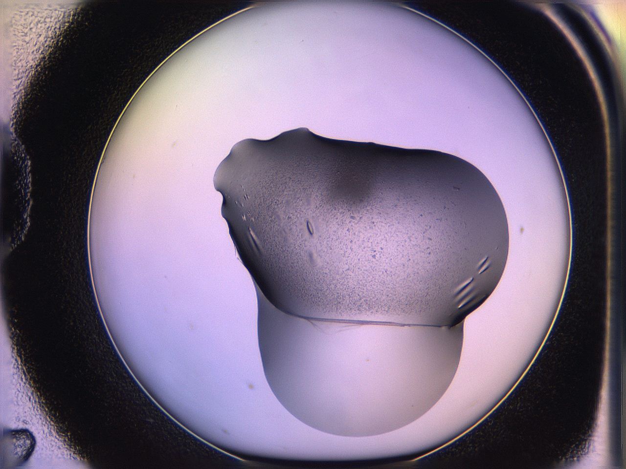 05oh_D7_ImagerDefaults_3.jpg