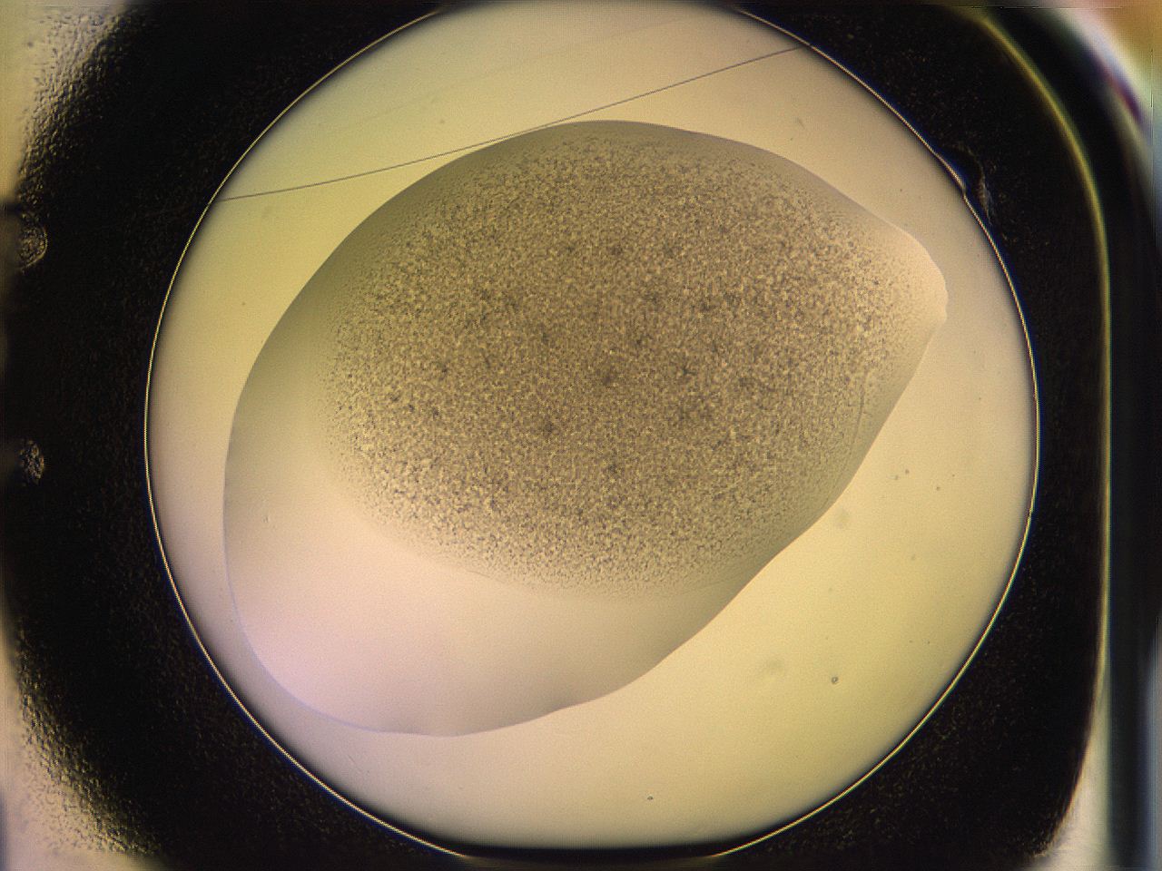 05oh_E1_ImagerDefaults_3.jpg