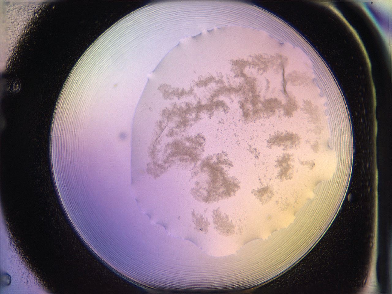 05oh_F5_ImagerDefaults_3.jpg