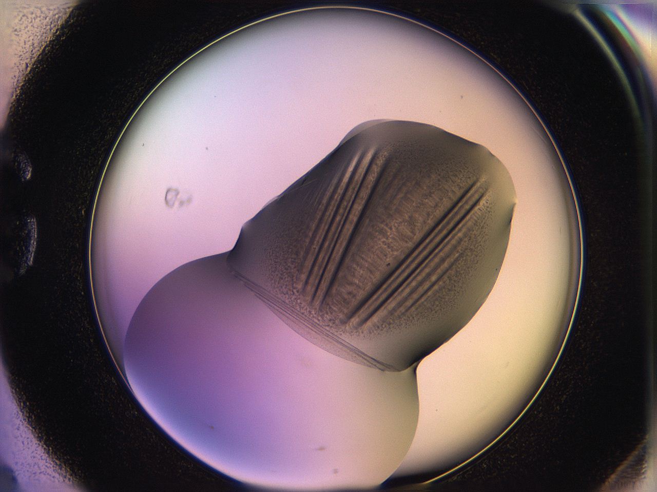 05oh_G4_ImagerDefaults_3.jpg