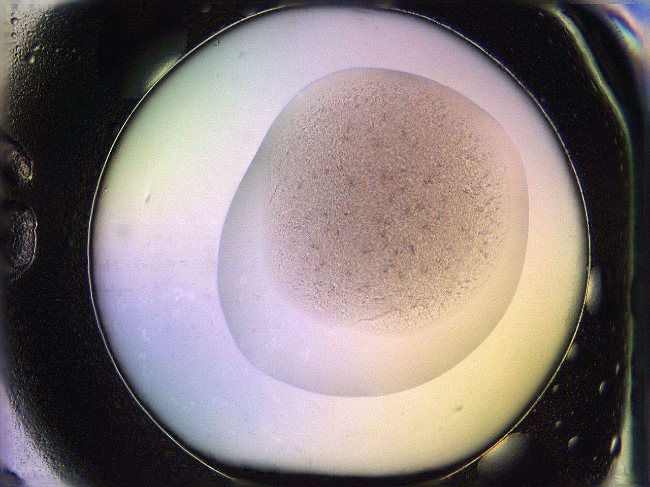 05oh_G9_ImagerDefaults_3.jpg