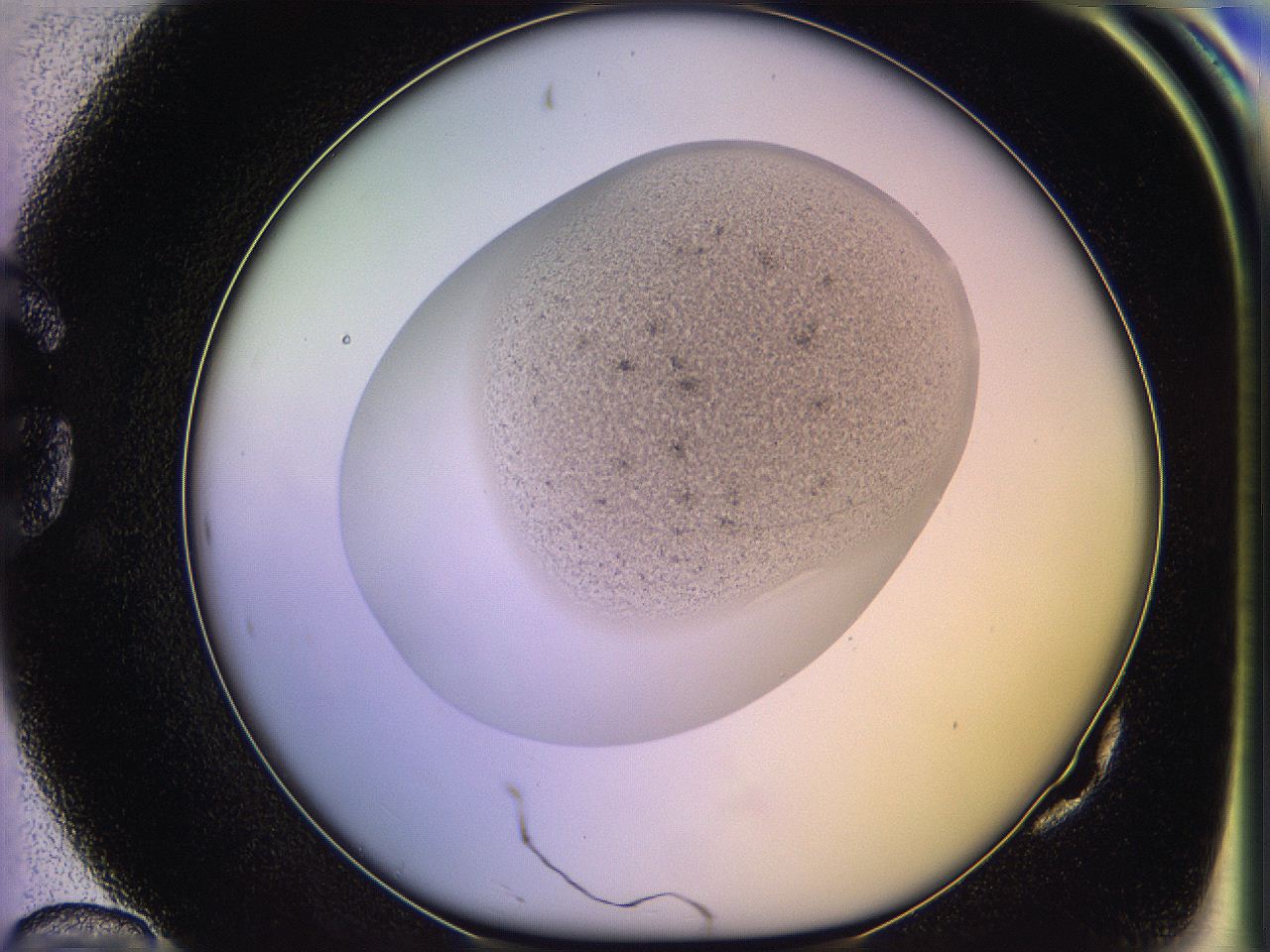 05oh_G10_ImagerDefaults_3.jpg