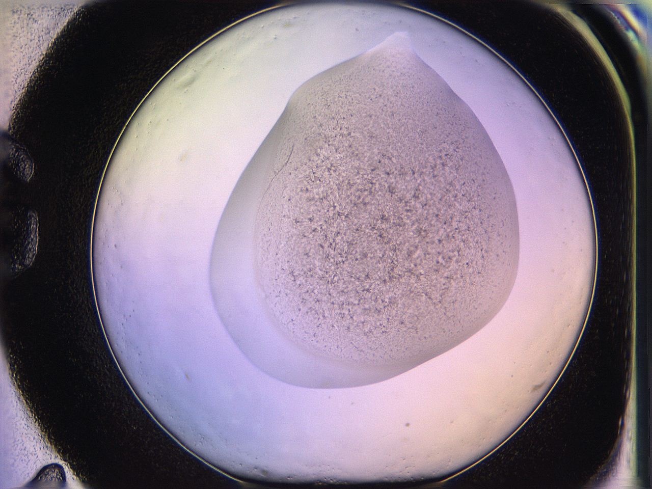 05oh_G11_ImagerDefaults_3.jpg