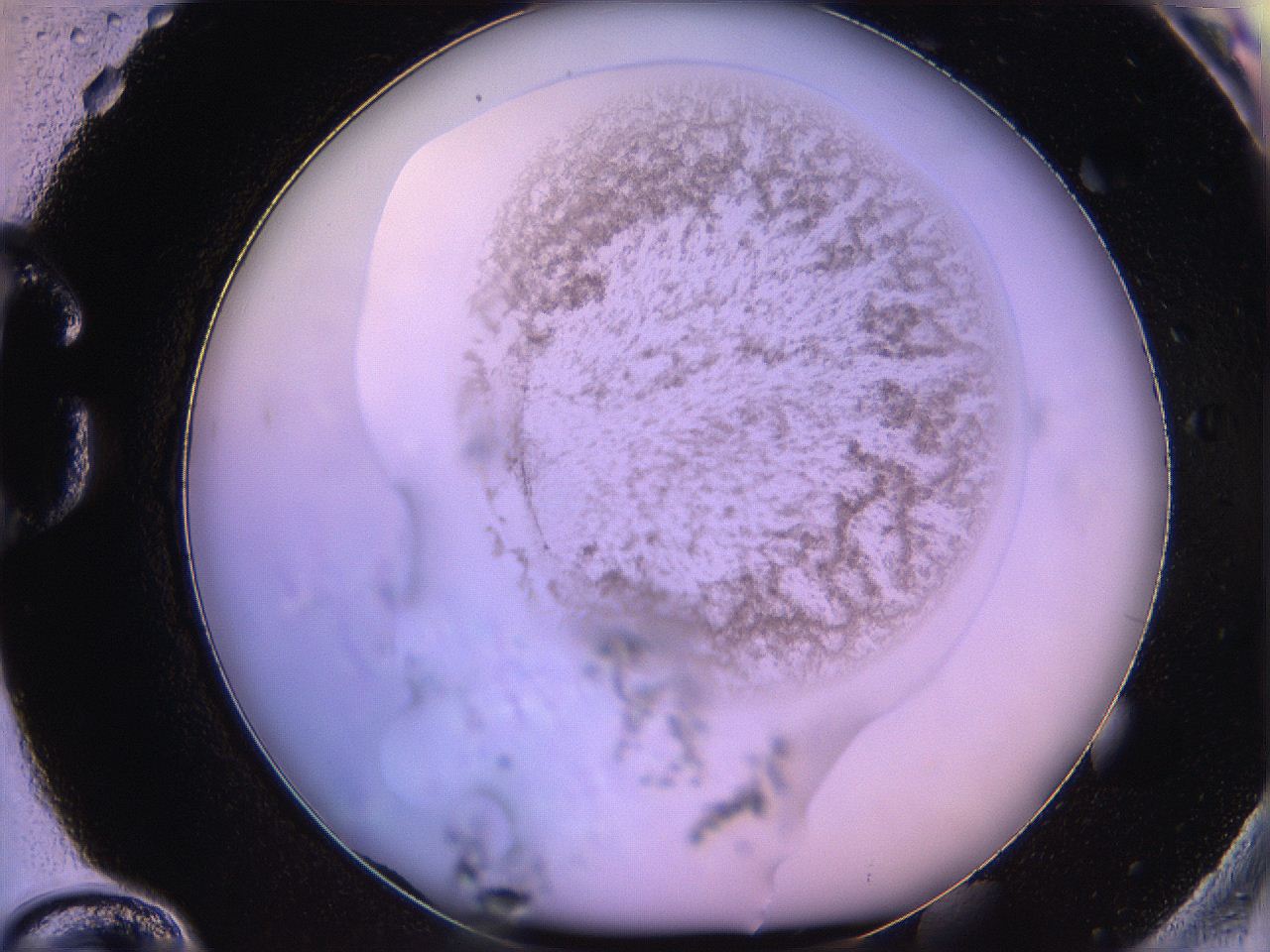 05oh_G12_ImagerDefaults_3.jpg