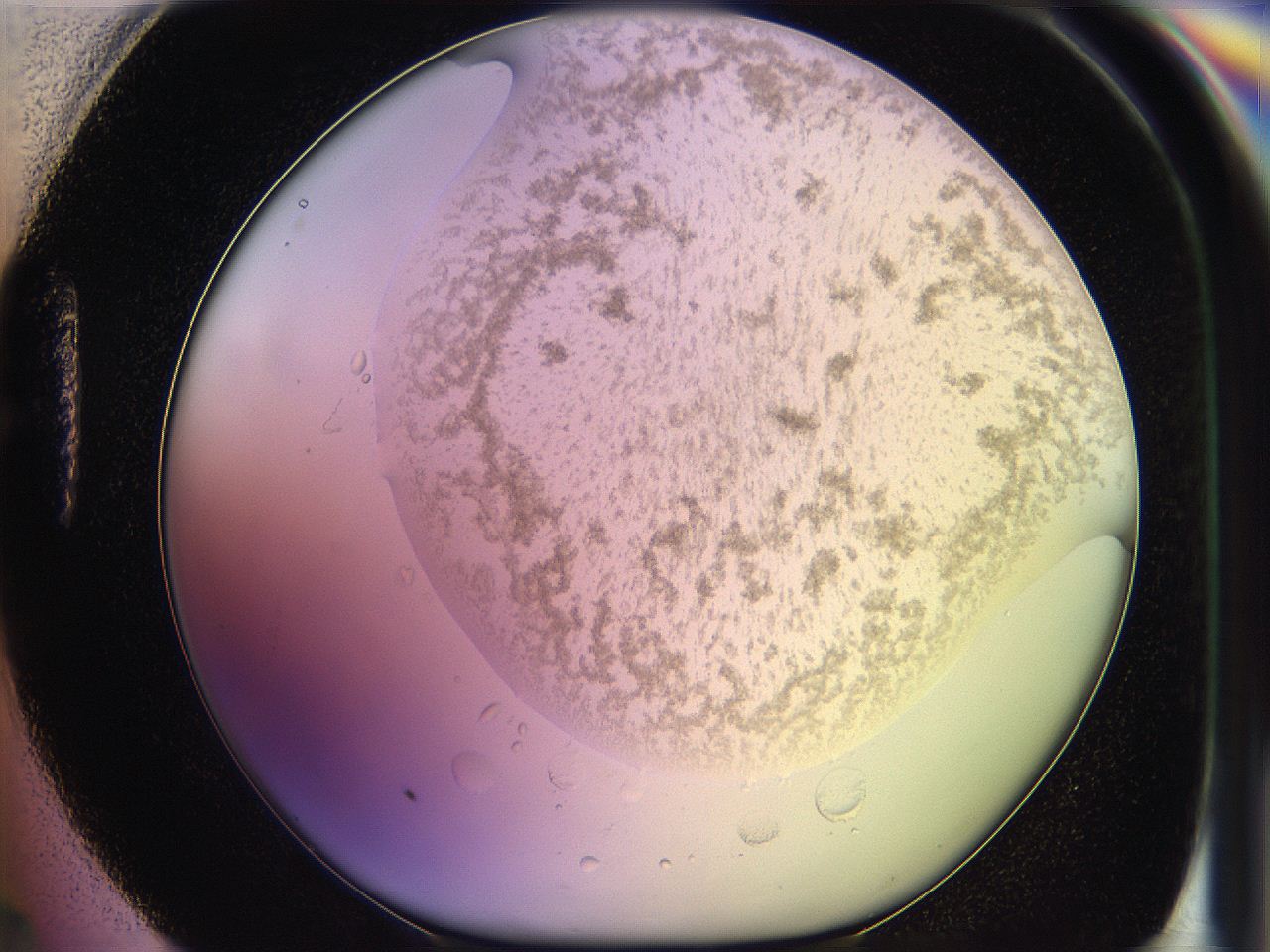 05oh_H4_ImagerDefaults_3.jpg