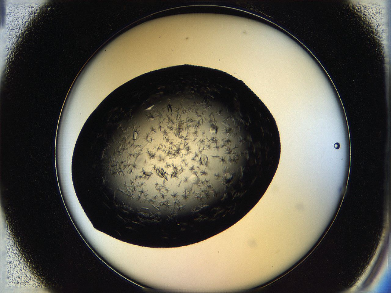 05oq_B1_ImagerDefaults_8.jpg