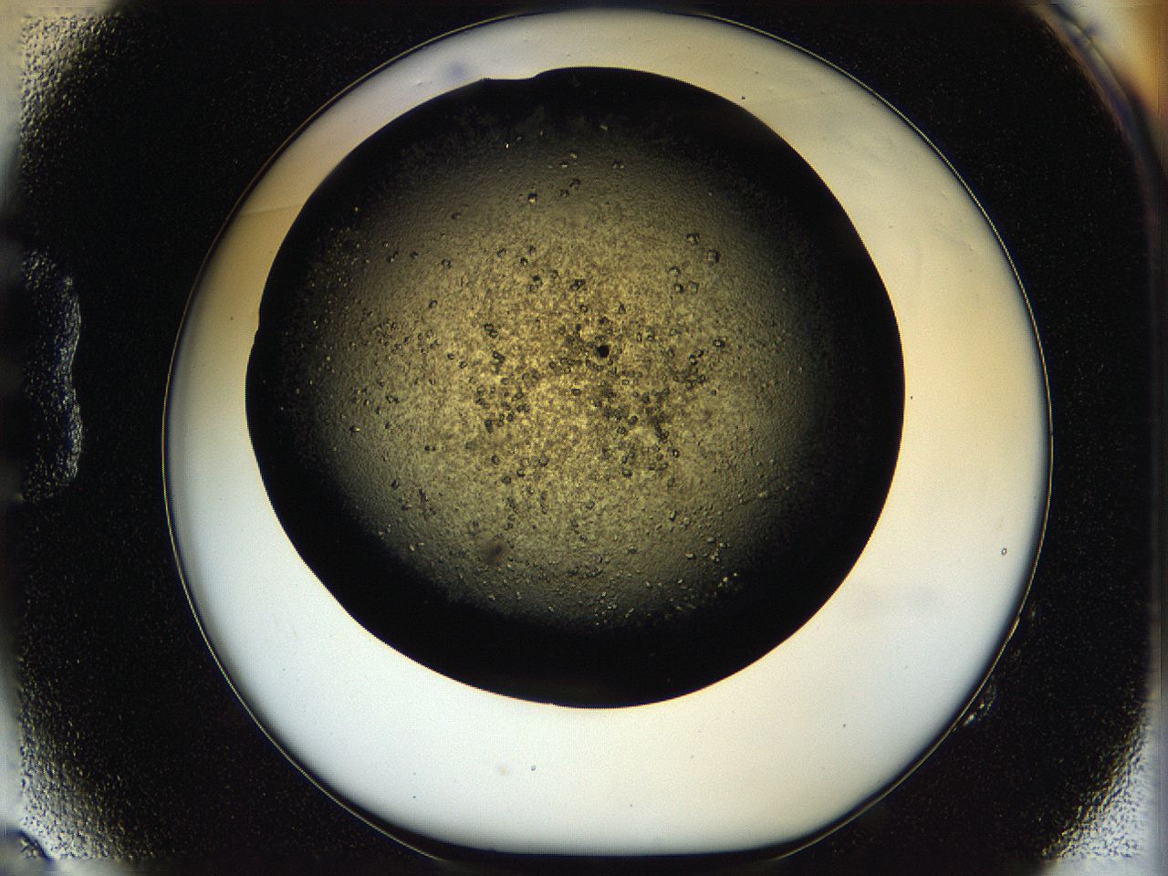05oq_B2_ImagerDefaults_7.jpg